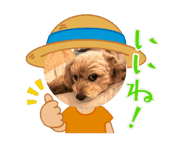 883531215