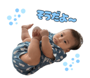 883531256
