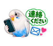 883532252