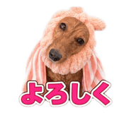 883532264