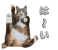 883534657