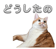 883534662