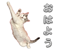 883534666