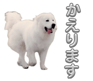 883534667