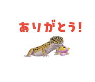 883535065