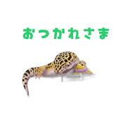883535067