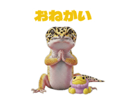 883535068