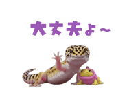 883535070