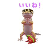 883535071