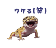 883535072