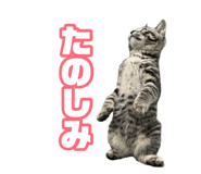 883535120