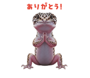 883535121