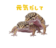 883535122