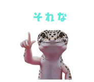883535124