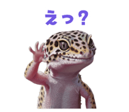 883535125