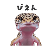 883535126