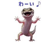 883535127