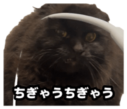 883535151