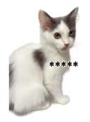 883535386