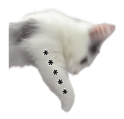 883535408