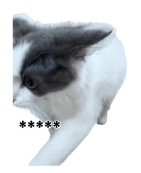 883535790