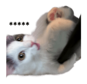 883535794
