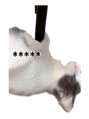 883535795