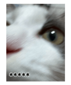 883535800