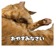 883537844