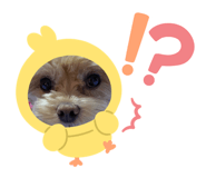 883538937