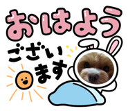 883538940