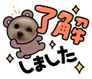 883538941