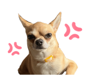 883540071