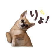 883540073