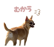 883540077