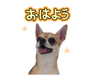 883540080