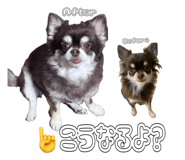 883540081