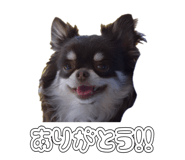 883540084