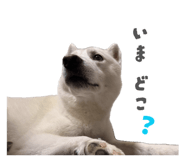 883541106