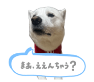 883541107