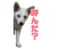 883541110