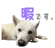 883541119
