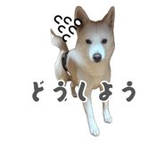 883541128