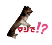 883541178