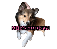 883541179