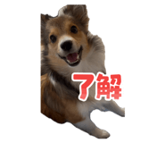 883541180
