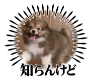 883541181