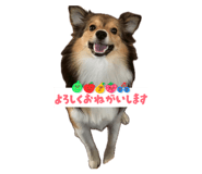 883541184
