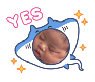 883541213
