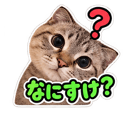 883541719
